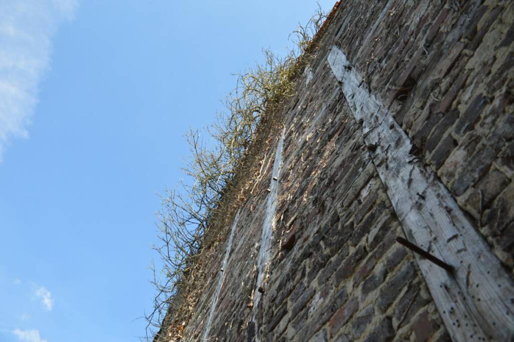 Ganze Wohnung - schönes und helles Loft in Kreuzau Exterior foto