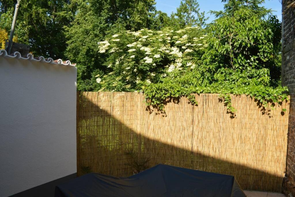 Ganze Wohnung - schönes und helles Loft in Kreuzau Exterior foto